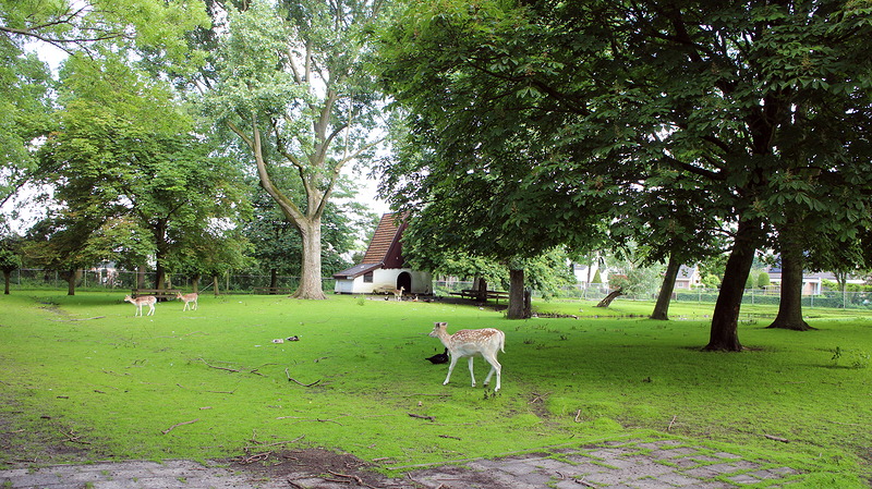 Motie voor behoud Hertenkamp