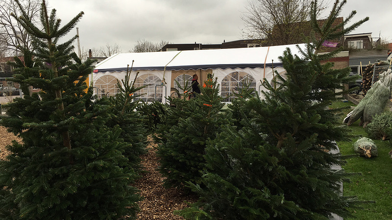 Kerstbomeninzameling op 4 januari 2017