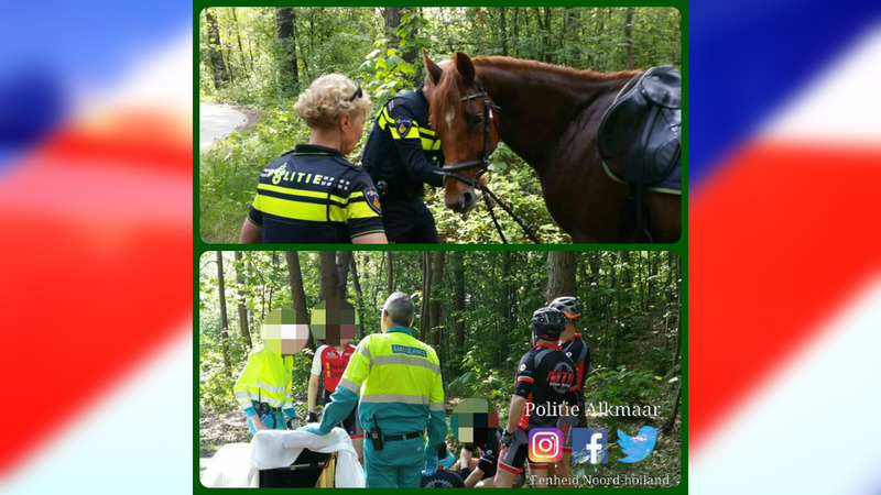 Mountainbikers en ruiter ten val in Schoorlse Duinen