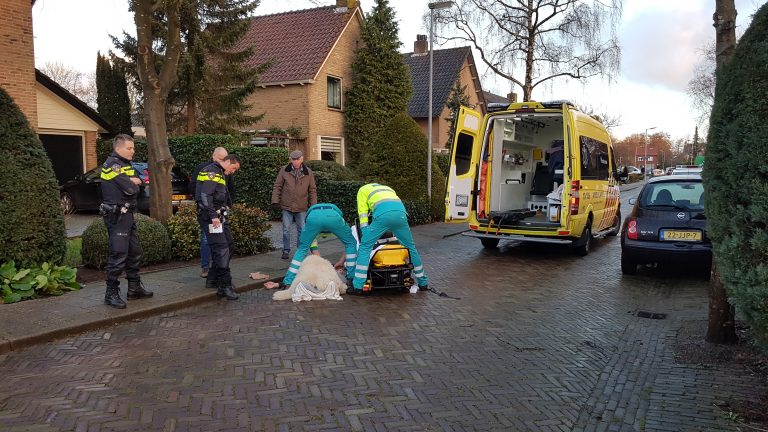 Fietsster naar ziekenhuis na val door gladheid in Oudorp