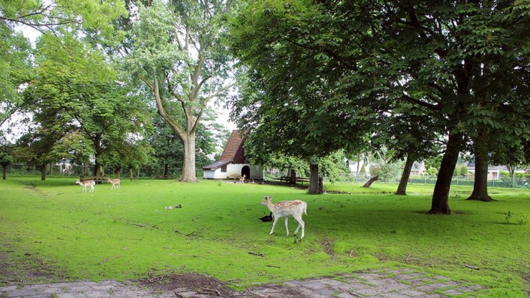 Lof en krediet voor Waardse stichting ‘Vrienden van het Hertenkamp’