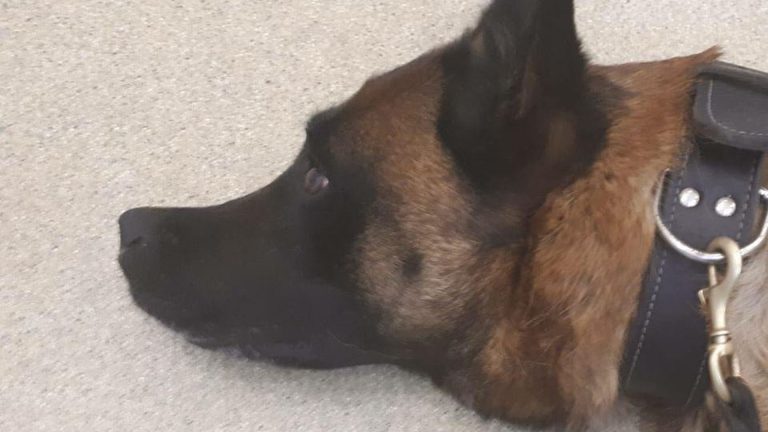 Politie waarschuwt opnieuw hondenbezitters vanwege ziekte twee eigen honden