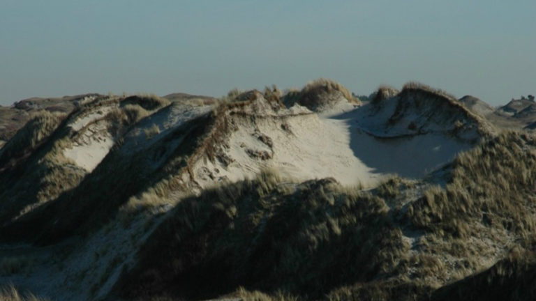 Lezing over dynamiek in het duinbeheer in Alkmaars wijkcentrum Overdie ?