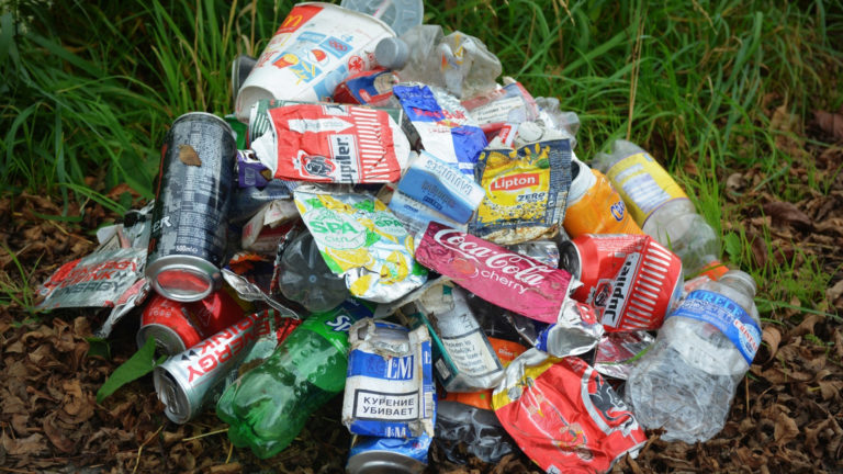 Zwerfafval opruimen in Langedijk tijdens Landelijke Opschoondag ?