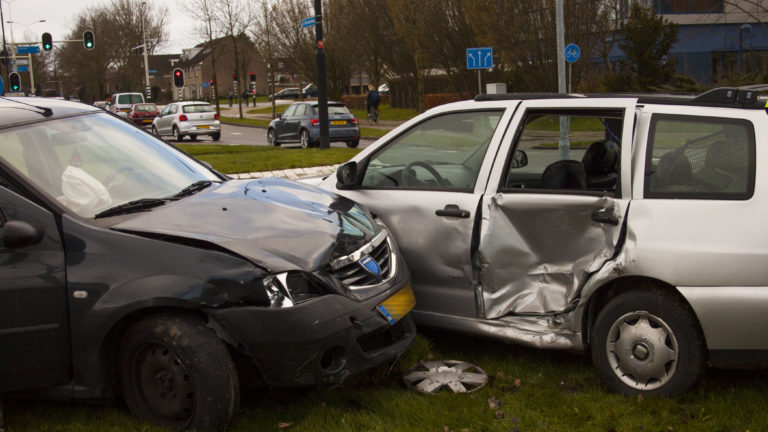 Honden gewond bij botsing in Heerhugowaard