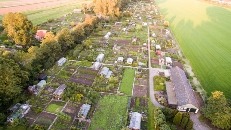 Extra uitgebreide Plantjesdag bij 50-jarige VTV De Groene Waard ?