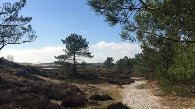 PWN waarschuwt in aanloop naar Pasen: “Drukte in natuurgebieden kan tot sluiting leiden”