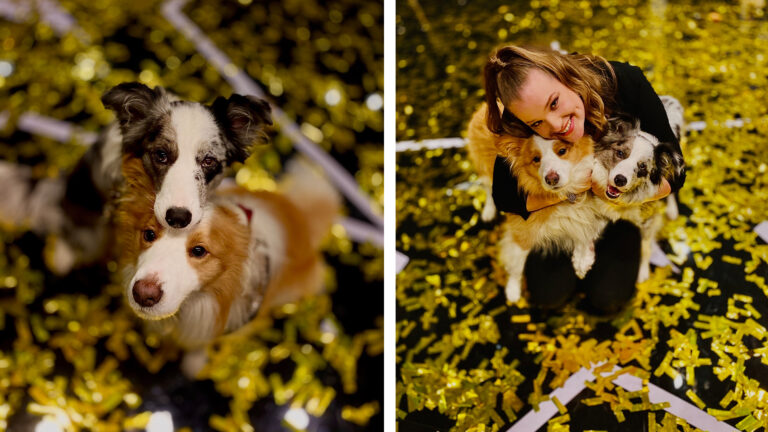 The Dancing Collies derde in finale Holland’s Got Talent: “Echt een geweldige ervaring”