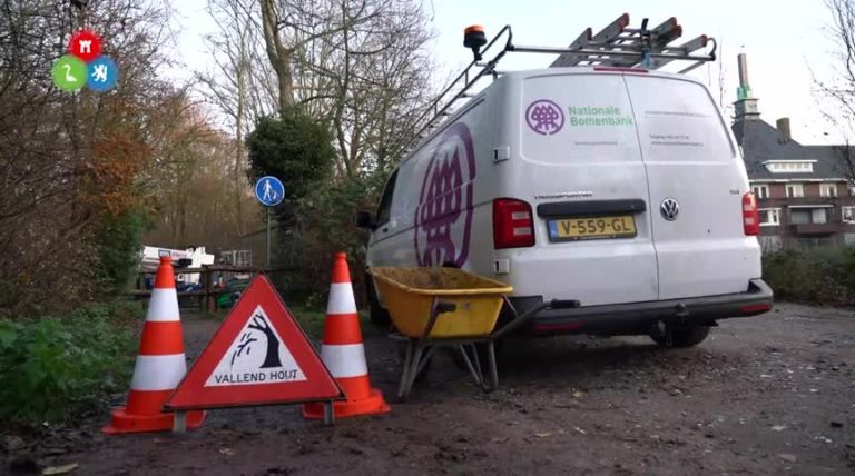 Geprepareerde bomen op terrein NWZ verhuizen naar andere plekken in Alkmaarderhout