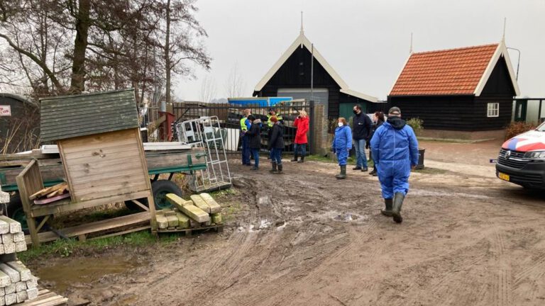Rapport ontruimde zorgboerderij Grootschermer: gevaarlijke stoffen, illegale bebouwing en dierenleed