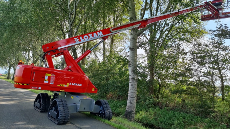 Gemeente Dijk en Waard kapt komende twee maanden ongezonde bomen