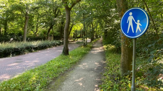 Raad van State gaat mee met omwonenden: gemeente Bergen moet fietspadplan Eeuwigelaan herzien