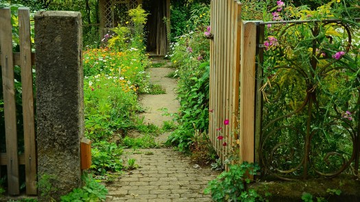 Open Tuinenweekend in Heiloo en Limmen 🗓