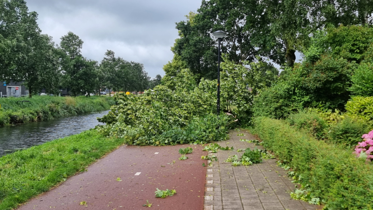 Schade door zomerstorm Poly; opruimwerkzaamheden Dijk en Waard duren nog weken