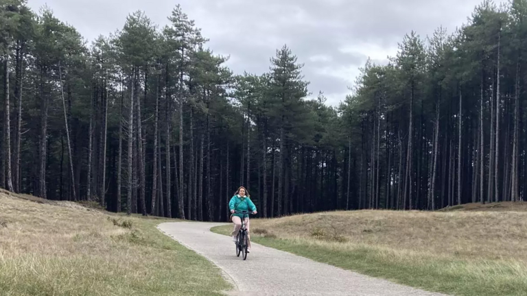 PWN mag tóch 13.000 bomen in Bergense duinen kappen: “Ontzettende kater”