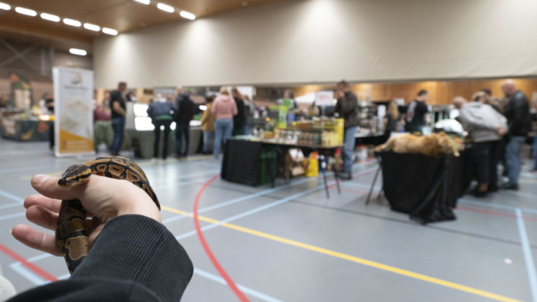 Alkmaar loopt warm voor koudbloedige dieren op reptielenbeurs Reptilica