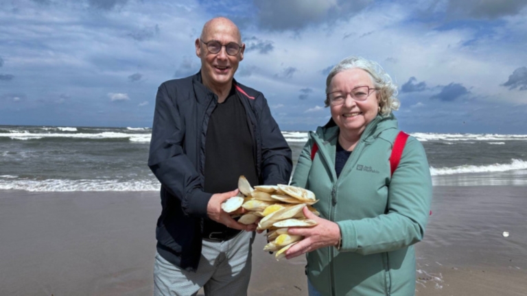 Bijzondere vondst: inktvisgeraamten spoelen aan op strand bij Egmond