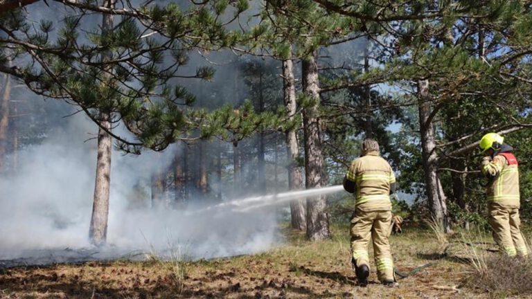 Tropische dagen: brandweer extra alert op natuurbranden, júíst na nat voorjaar