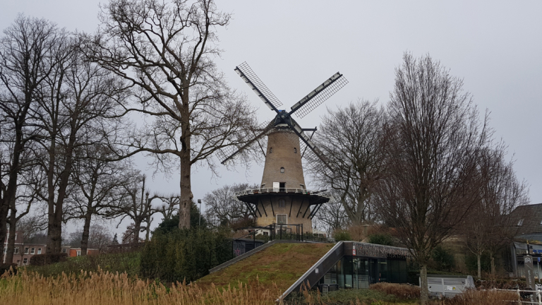 Nieuwe boom bij Molen van Piet inderdaad op Zwarte Lijst, maar ‘geen gevaar’