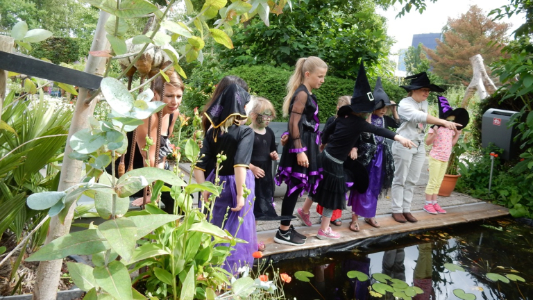 Vlieg op een bezemsteel en vilt je eigen armband bij het Herfstfestival in Hortus Alkmaar 🗓