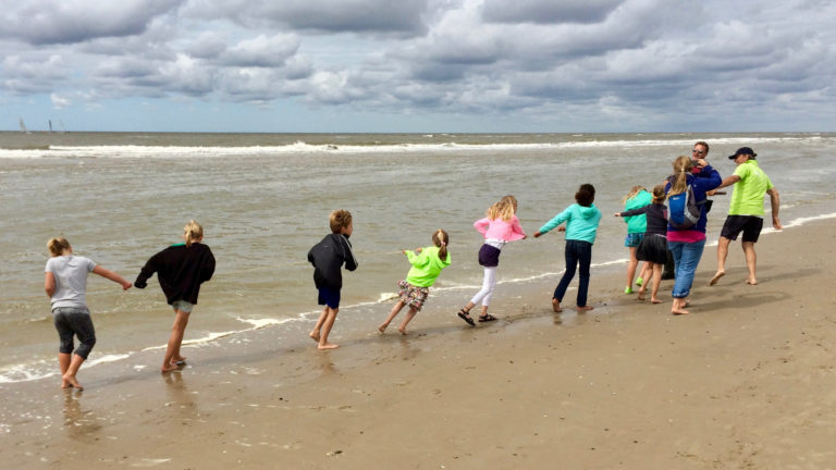 Grijze garnalen, platte vissen, knippende krabben; korren in Bergen aan Zee 🗓