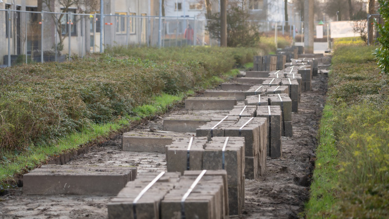 Alkmaar derde tijdens NK Tegelwippen 2024, Bergen zevende