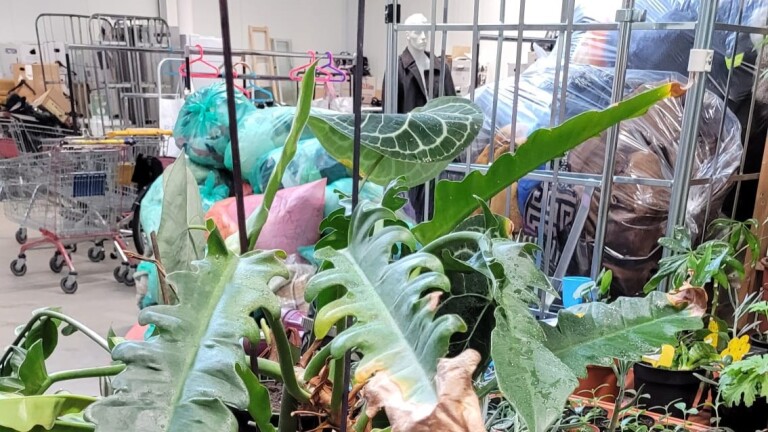 Planten vooraan, winkelwagens en zakken op de achtergrond in een magazijnachtige omgeving.