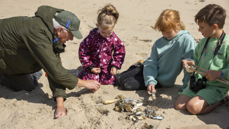 Op zoek naar strandgeheimen: ontdek de natuur van het Zwanenwater 🗓