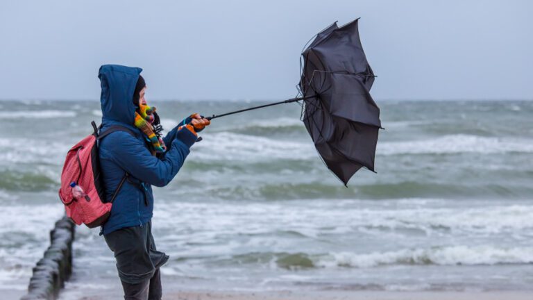 Woensdagavond code oranje wegens naderende storm ‘Conall’