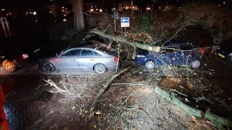 Omgevallen boom op geparkeerde auto's in een straat 's nachts.