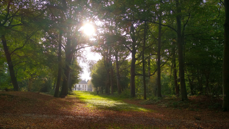 Historische Vereniging Heiloo organiseert Drie Landgoederenwandeling 🗓