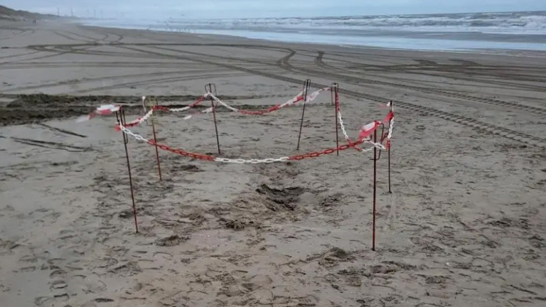 Afgezet gebied op een strand met rood-witte waarschuwingslinten en paaltjes, met sporen in het zand en de oceaan op de achtergrond.