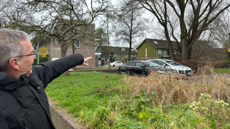 Man in jas wijst naar een groepje huizen aan de overkant van een grasveld met bomen en geparkeerde auto's.