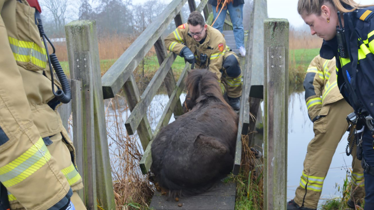 Pony komt klem te zitten tussen brugreling: brandweer schiet te hulp