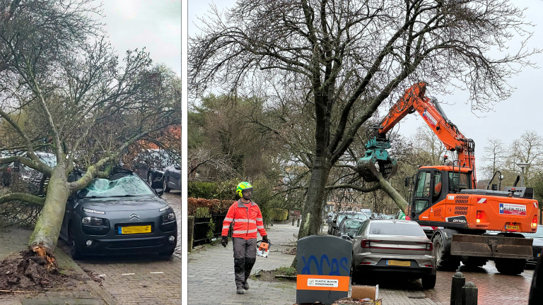 Links een auto beschadigd door een omgevallen boom; rechts een graafmachine en een man met helm en kettingzaag bezig met opruimen.