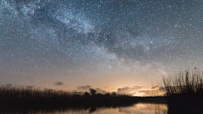 Sterrenhemel boven een meer met riet en silhouetten van bomen.