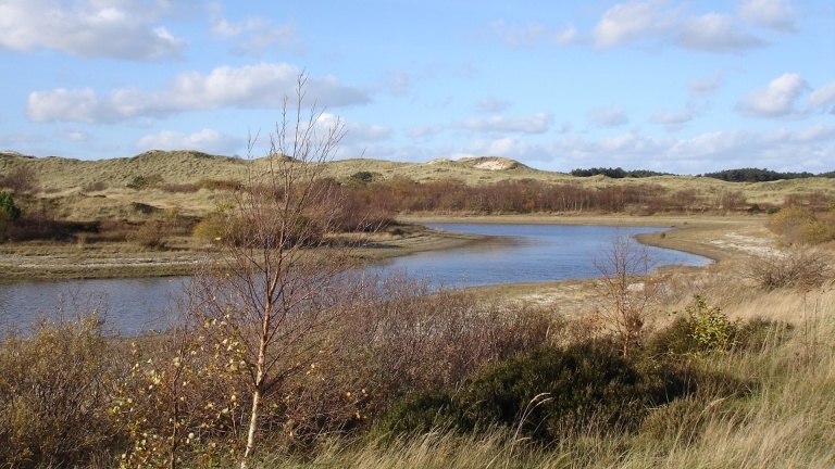 Duinlandschap met drooggevallen meer, omgeven door gras en struiken, onder een blauwe lucht met wolken.