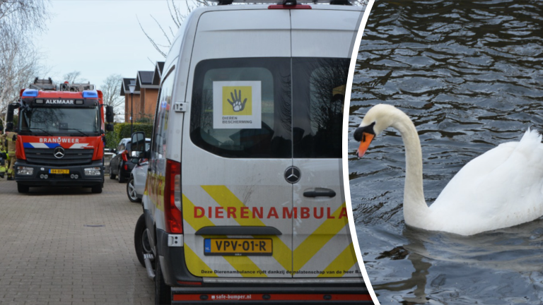 Zwaan neemt iedereen in de maling en maakt brandweerlieden aan het lachen