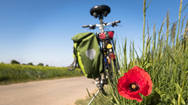 Provincie steekt 1 miljoen in betere fietsroutes in regio Alkmaar