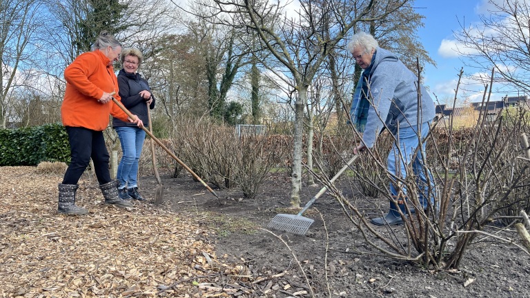 Drie mensen werken met harken in een tuin met kale struiken en bomen.