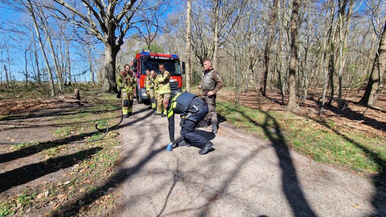 Bosbrandje in Heiloo, politie onderzoekt mogelijke brandstichting