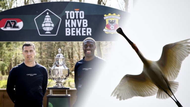 Alkmaar, AZ en Vogelwerkgroep komen tot compromis: eventuele AZ-huldiging ‘gewoon’ op Drafbaan