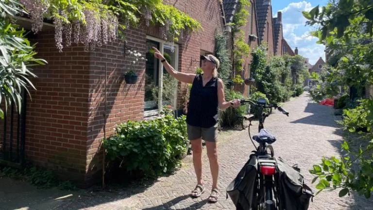 Animo houdt weer Alkmaarse Geveltuintjeswedstrijd: “Biodiversiteit is heel belangrijk”