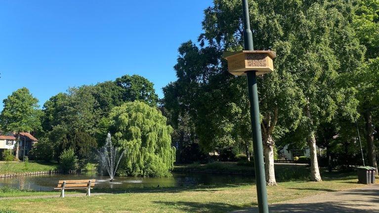 Heiloo schiet bijenpopulatie te hulp met tien Bee&Bee’s om lantarenpalen