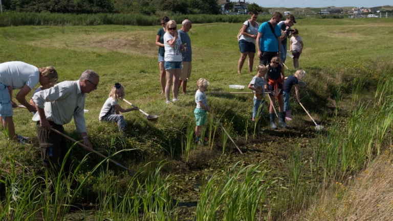 Op zoek naar waterbeestjes in het Zwanenwater 🗓