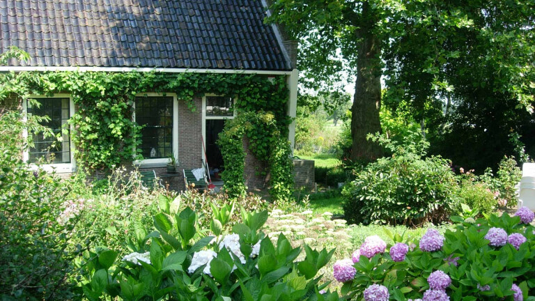 Museum Jan Boon toont design- en gebruiksvoorwerpen van Rijper Anna Oudhof 🗓