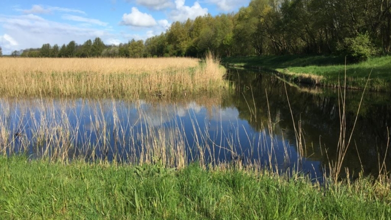Avondwandeling tussen de rietvogels: ontdek de Kleimeer bij schemerlicht 🗓
