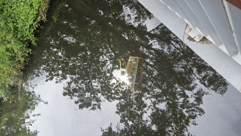 Een winkelwagentje ligt onder water in een rivier, omringd door boomreflecties en een groene oever links.