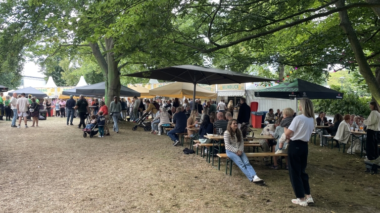 Mensen zitten en staan in een parkachtige omgeving tijdens een buitenfestival, met kraampjes op de achtergrond en bomen die schaduw bieden.