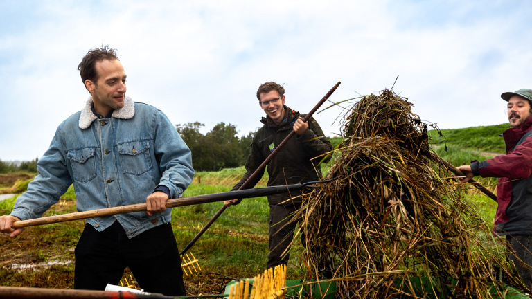 Help de natuur tijdens de Natuurwerkdag in Alkmaar 🗓